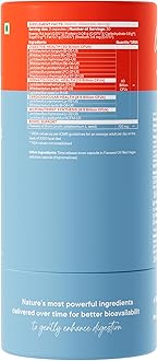 Wellbeing Nutrition Slow,Gut Health,20 Billion Cfu Probiotic & Prebiotic In Vegan Omega 3 Oil,Gut, Digestive Balance, Improve Nutrient Absorption & Maintain Intestinal Integrity (60 Capsules)