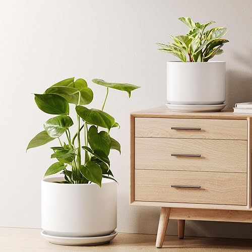 LE TAUCI Macetas de cerámica, macetas de 8 + 10 pulgadas para plantas, macetas de interior para el hogar y la oficina, macetas modernas para
