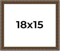 Vista 305 de Marco de fotos completo de madera dorada envejecida de 16 x 20 pulgadas con plexiglás acrílico UV, parte trasera de tablero de espuma y accesorios