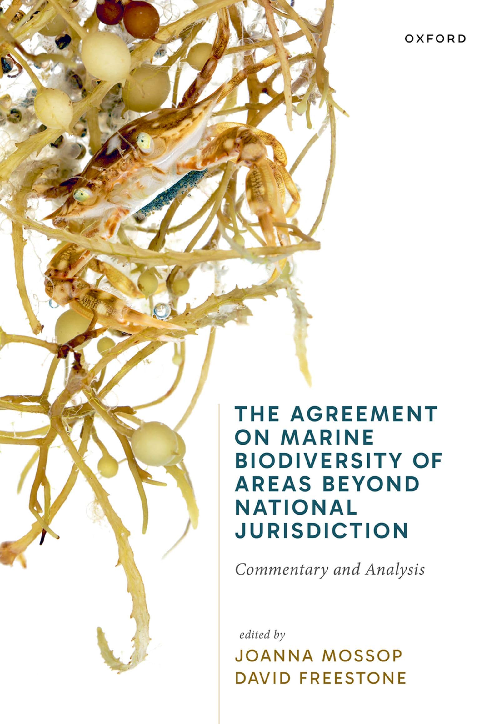 The Agreement on Marine Biodiversity of Areas Beyond National Jurisdiction: Commentary and Analysis