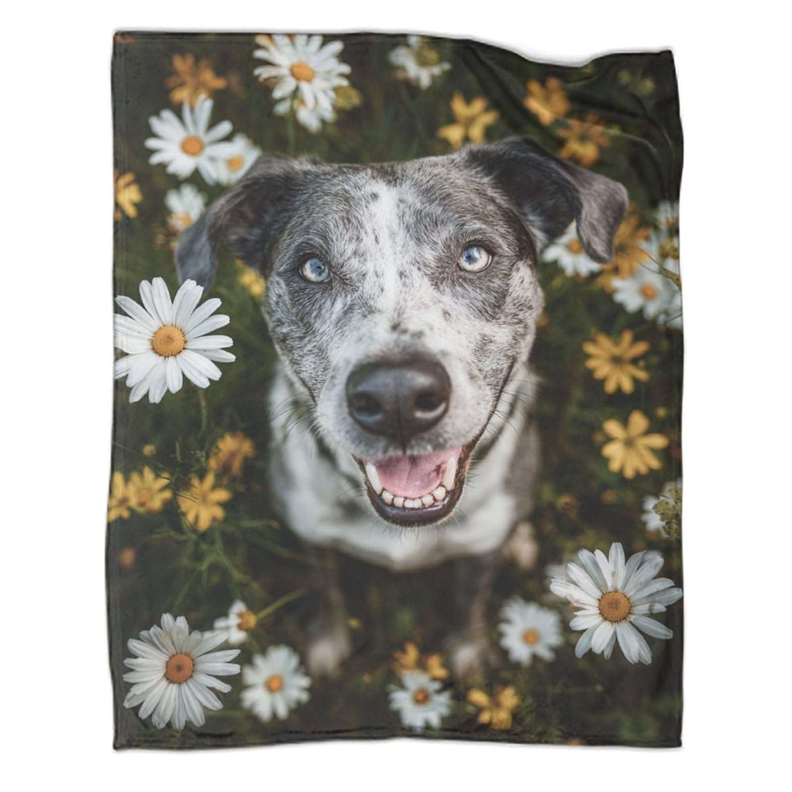 Couvertures en Flanelle Border Collie 3D 100x130cm Plaid Doux pour Enfant et Ado
