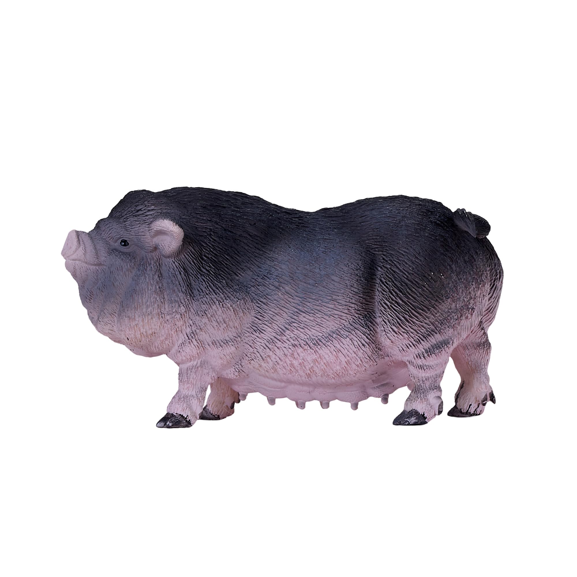 MOJO - Pot Bellied Pig, Multicolor