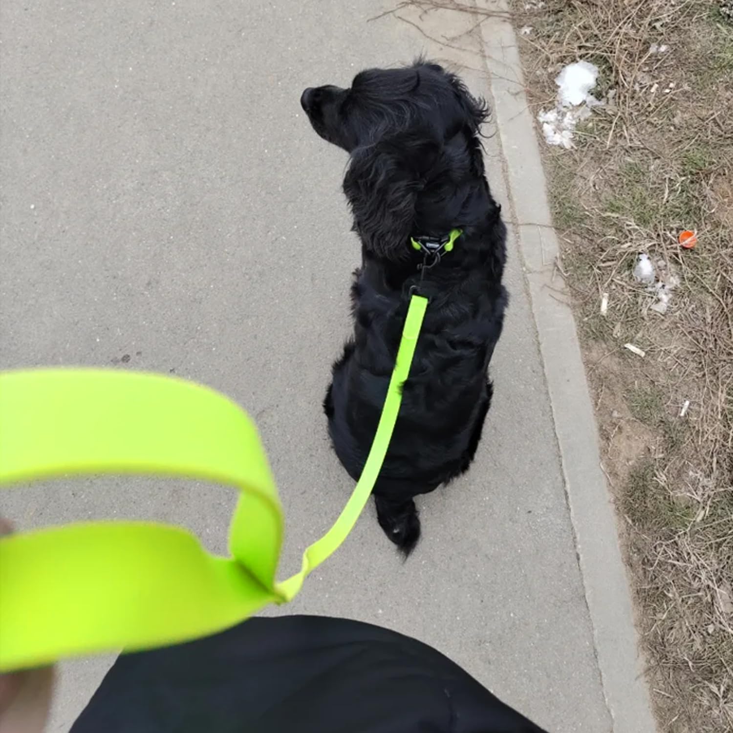 Waterproof Dog Training Leash,Long Line Heavy Duty Outdoor Recall Lead 10ft 15ft 20ft 30ft 50ft for Small Medium Large Dog (Yellow Green, 32FT) - image 3