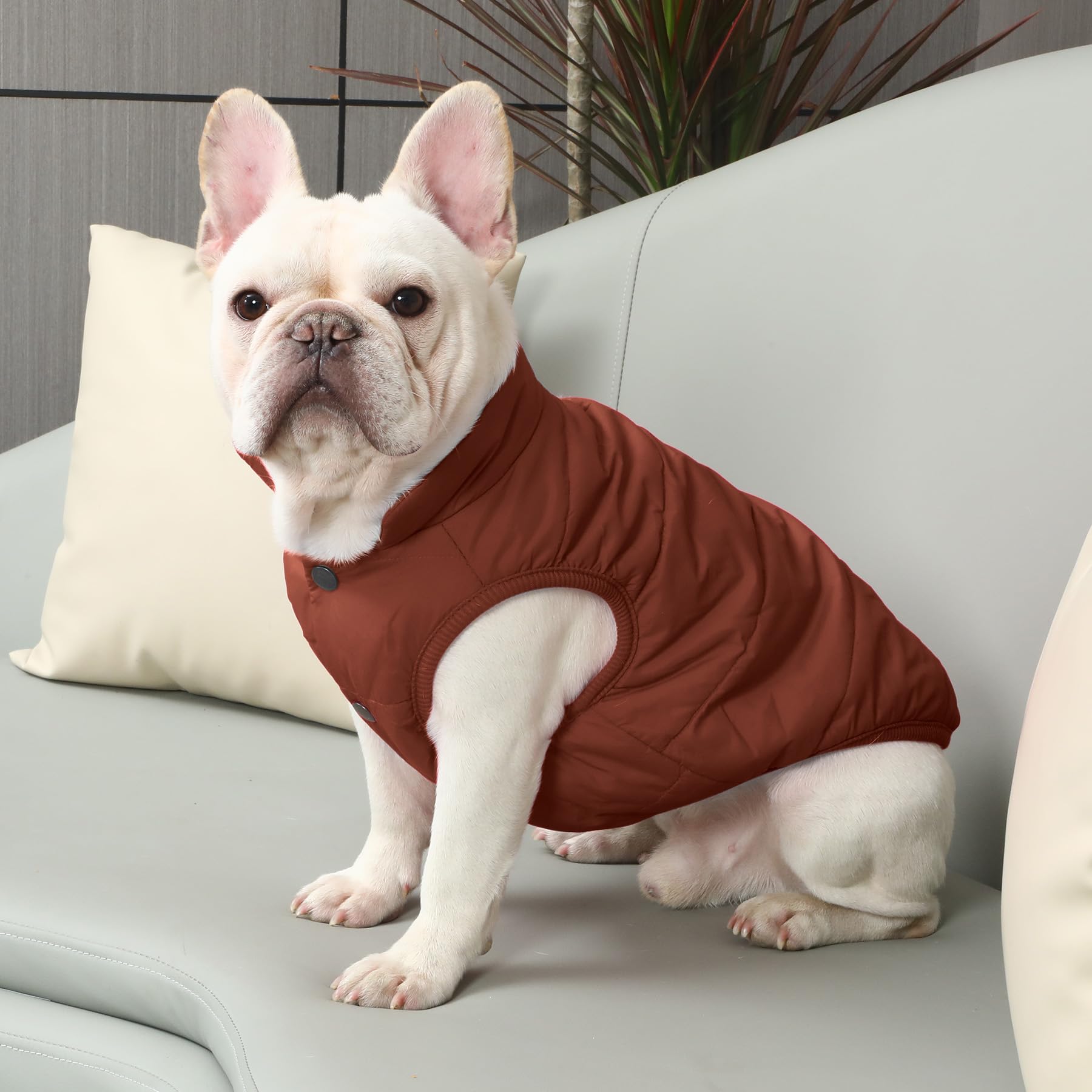 JoyDaog 2-lagige mit Fleece gefütterte Hundejacke, sehr warm für Winter und kaltes Wetter, extraweiche, winddichte Hundeweste,braun,L