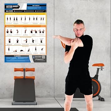 Upper Body Stretching | Dynamic & Static Stretches | Laminated Home & Gym Poster | FREE Online Video Training Support | Size - 841mm x 594mm (A1) | Improves Personal Fitness & Flexibility