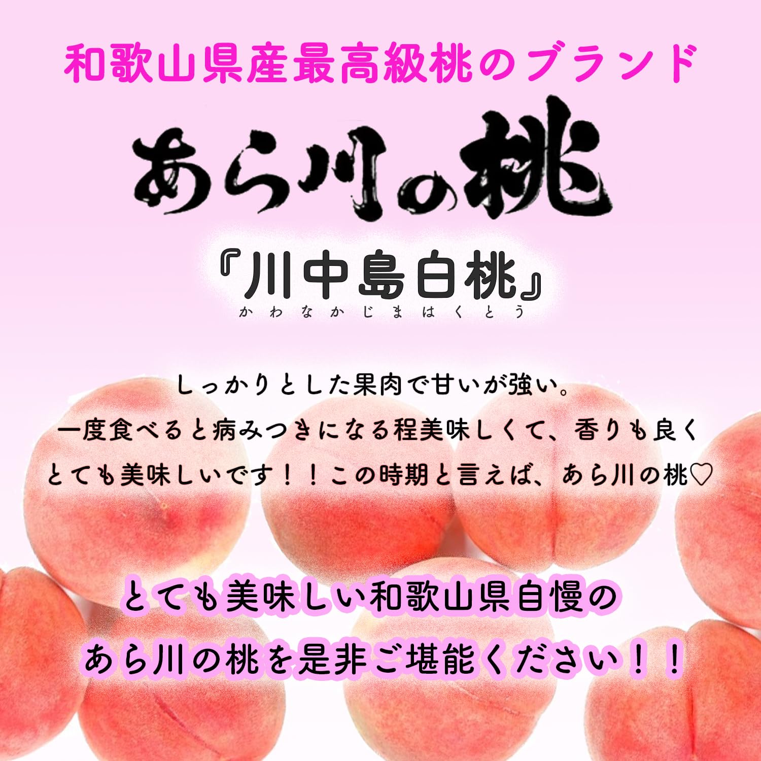 Amazon.co.jp: 桃 白鳳 白桃 あら川の桃 訳あり桃 和歌山県産 信州産
