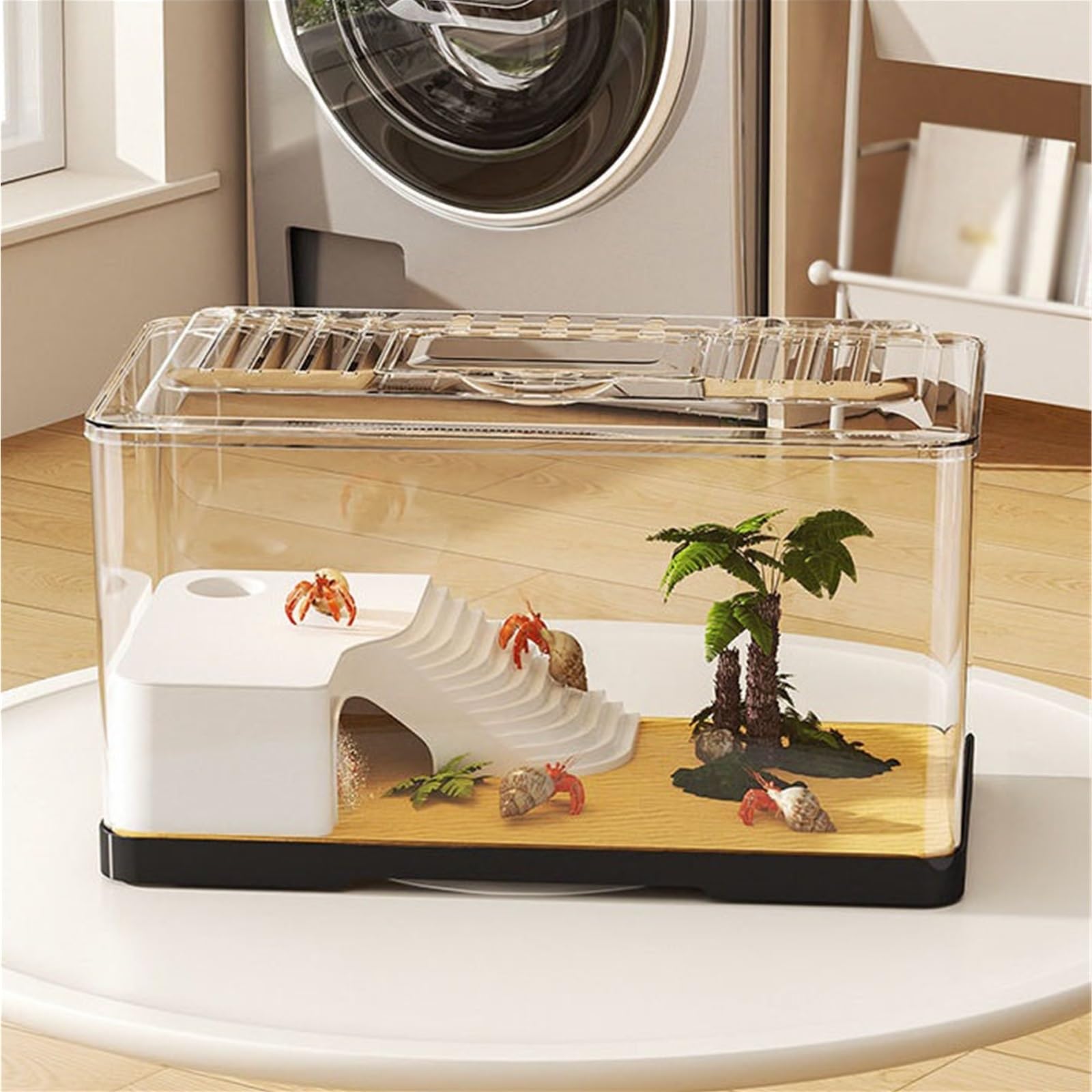 Acuario para Tortugas Tanque de observación Tortugas Transparente: Acuario Escritorio for alimentación y(Grande)