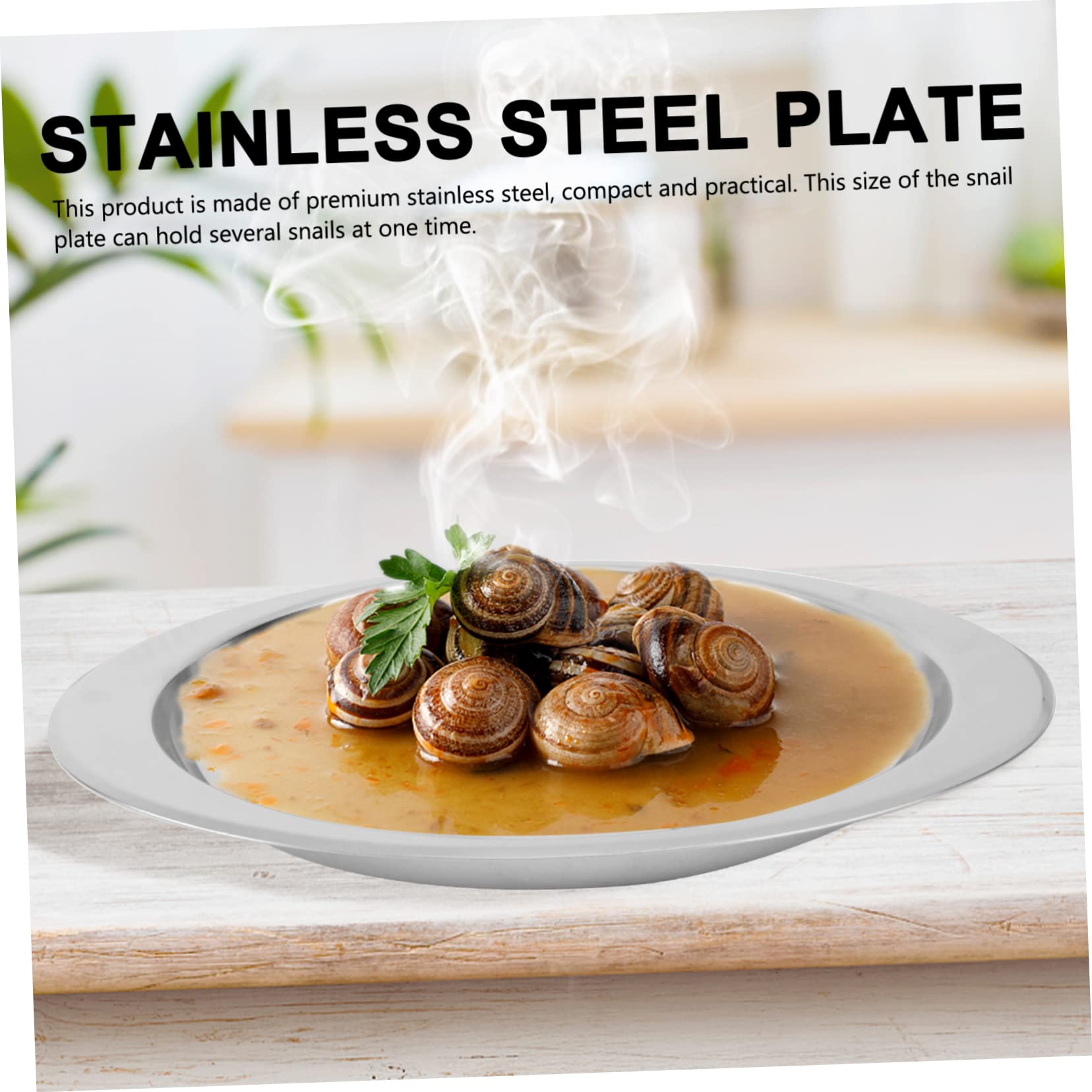 美品　エスカルゴ　プレート　皿　陶器 Amazon.co.jp: Ciieeo シルバーのステンレス製エスカルゴプレート 食器