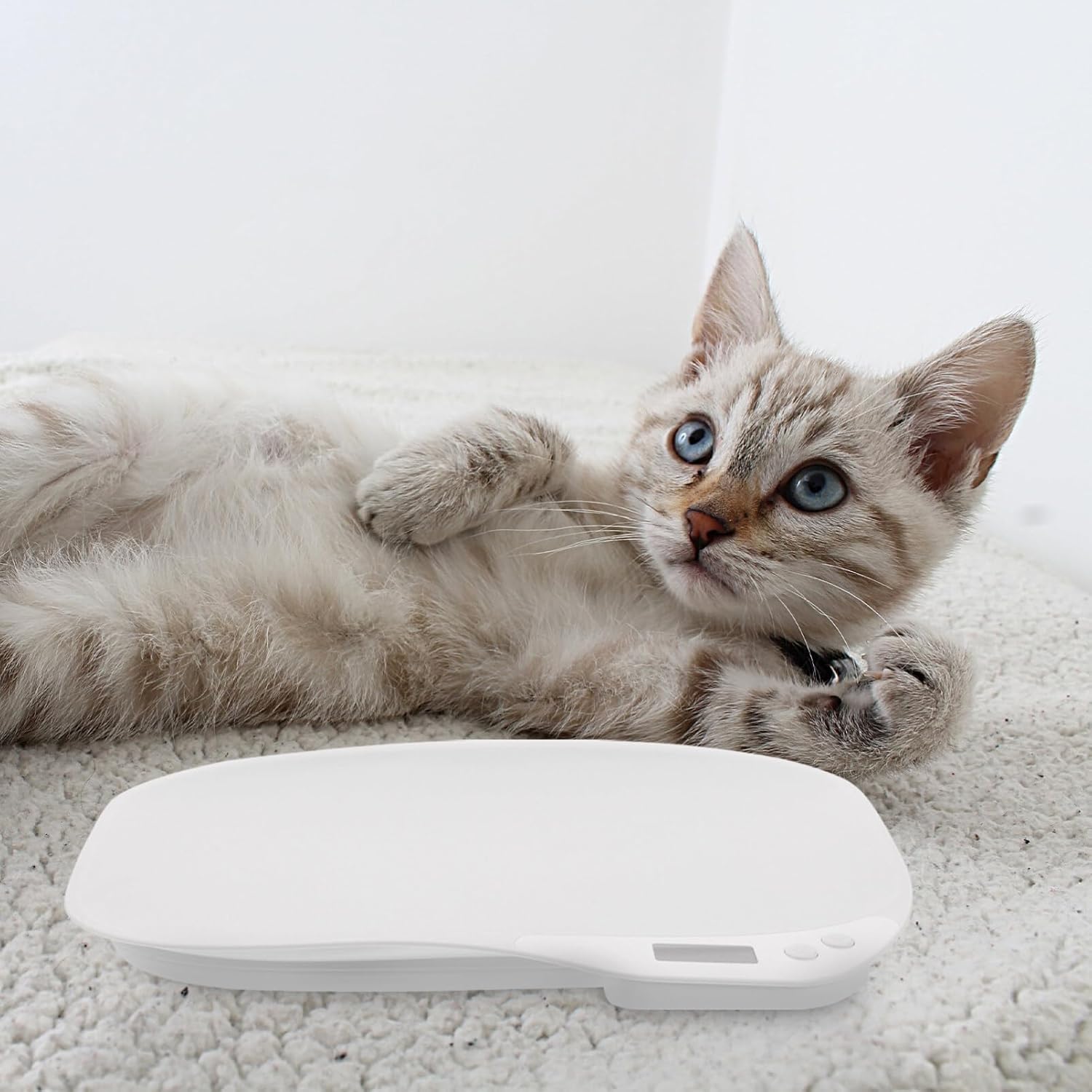 NOLITOY Digital Pet Weight Scale for Cats Dogs and Animals Accurate Electronic Scale Led Display Capacity for Monitoring Pet Health and Food Intake