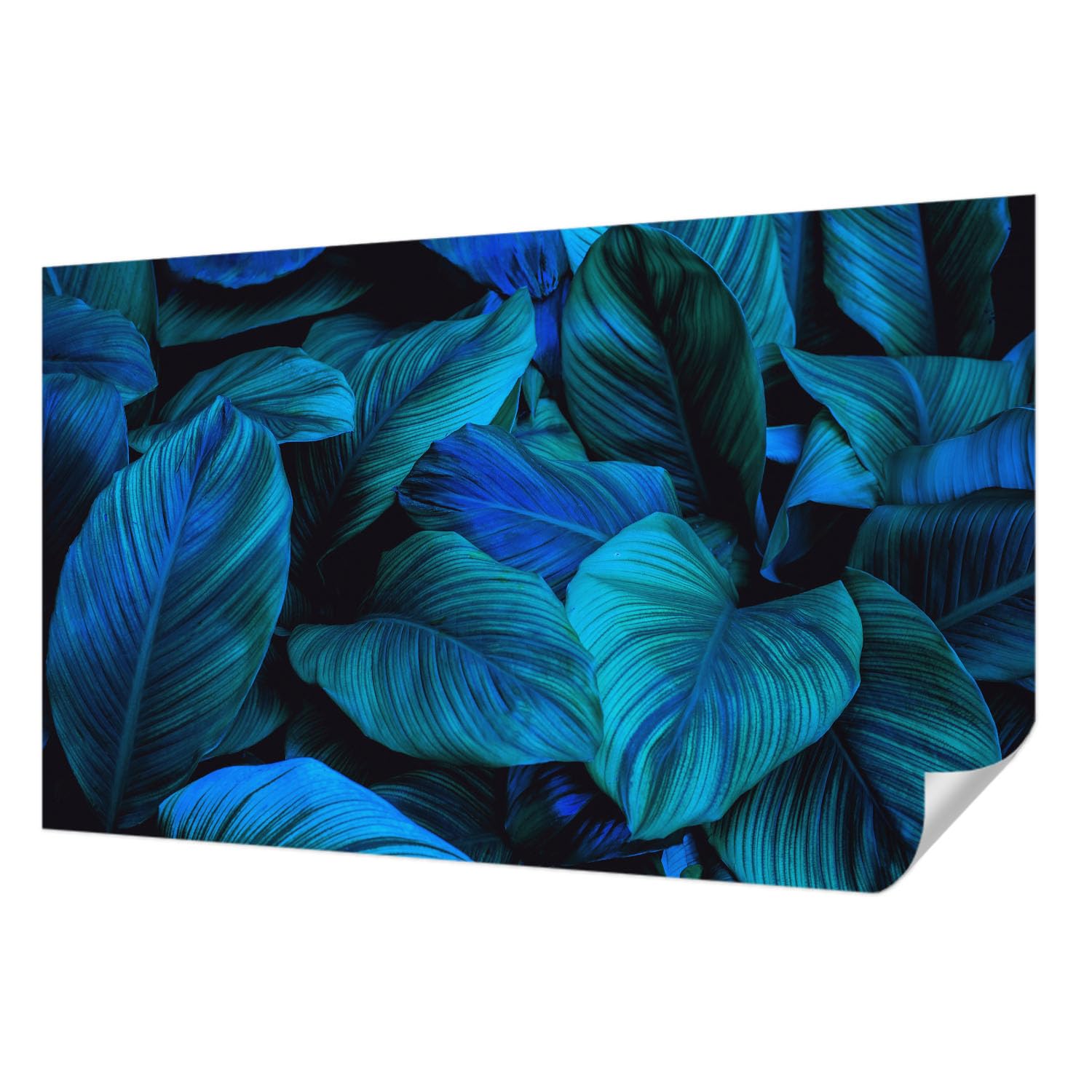 Revêtement mural autocollant résistant aux taches Tulup grand format bleu 416x254