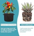 SunStream 10-Pack 2 Gallon Heavy Duty Thickened Nonwoven Fabric Pots Grow Bags with Handles