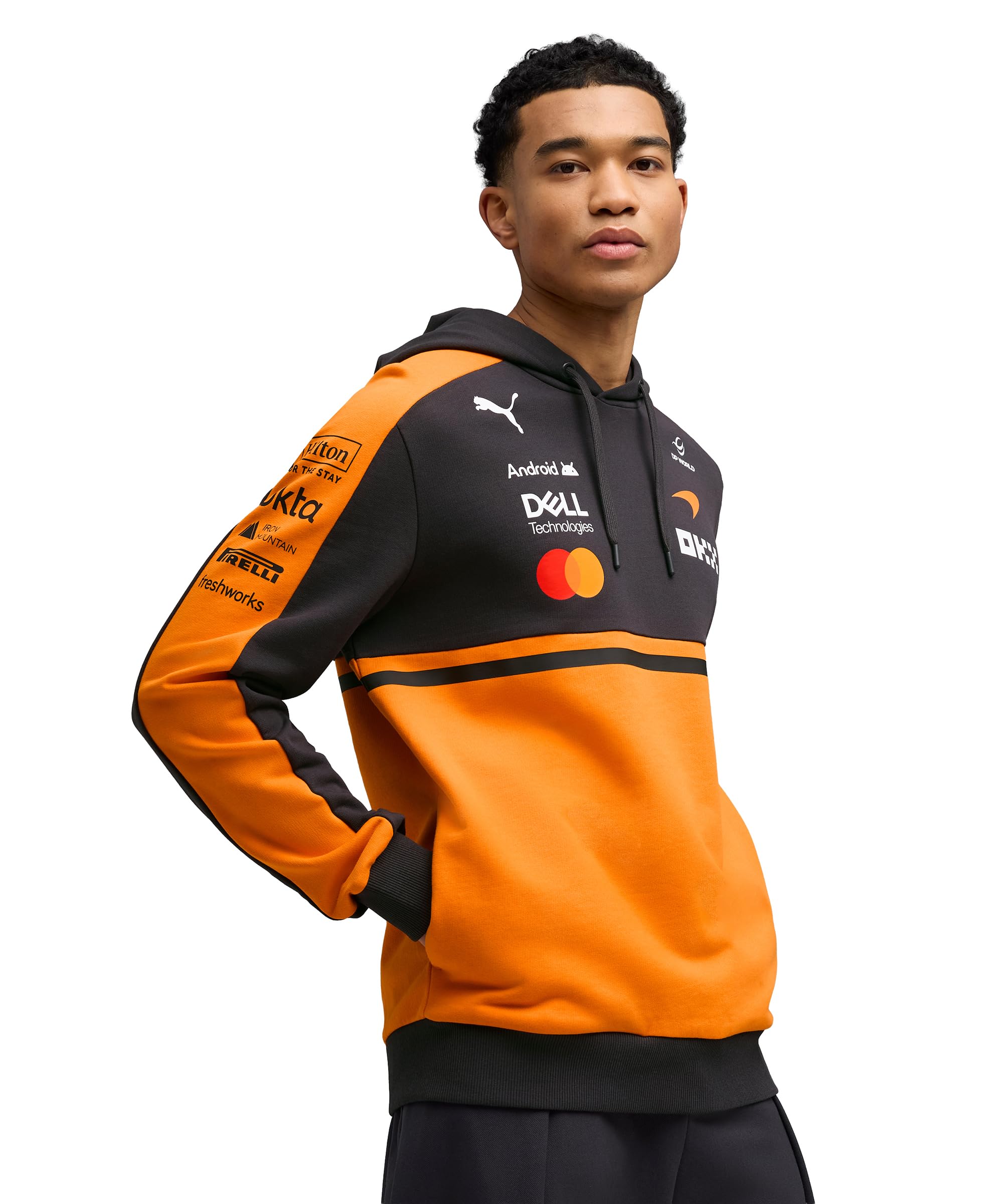 puma Men Hoodies-picture-30