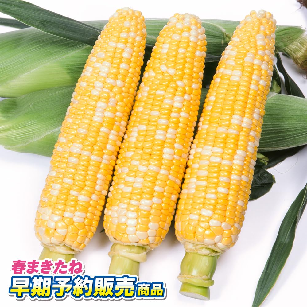 Amazon.co.jp: （早期予約野菜たね）種 野菜たね トウモロコシ F1甘々
