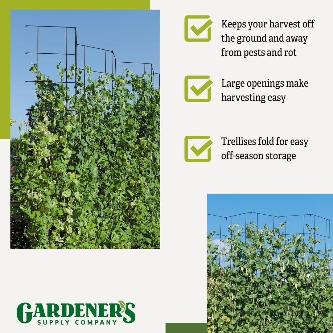 Gardener's Supply Company Tall Expandable Pea Trellis for Outdoor Plants | Sturdy Garden Trellis for Beans, Peas & Other Climbing Vegetables | 9'-3" L x 64" H Installed - Green