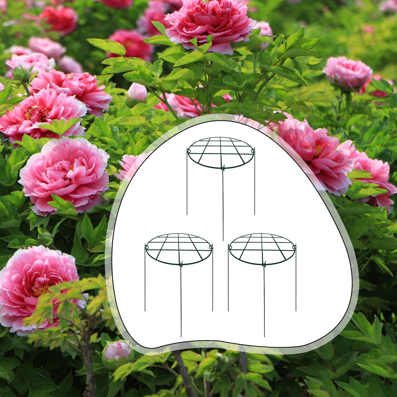 3 Pièces Tuteurs de Plantes Soutiens Métalliques pour Pivoines Armature pour Roses Cages Hydrangeas Installation Facile Convient à L'Utilisation Intér, 30x40 Cm