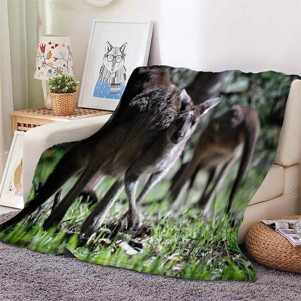 Generisch Puszysty koc do wtulania się, brązowy kangur, 200 x 200 cm, miękki i dwustronny koc polarowy, idealny koc na sofę dla wszystkich, przytulny koc na sofę i łóżko AL1391