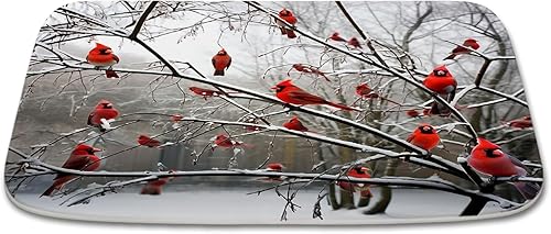 Divertidos tapetes de baño de terciopelo coral con diseño de pájaros cardenales en rama, tapete de ducha antideslizante para decoración de baño,
