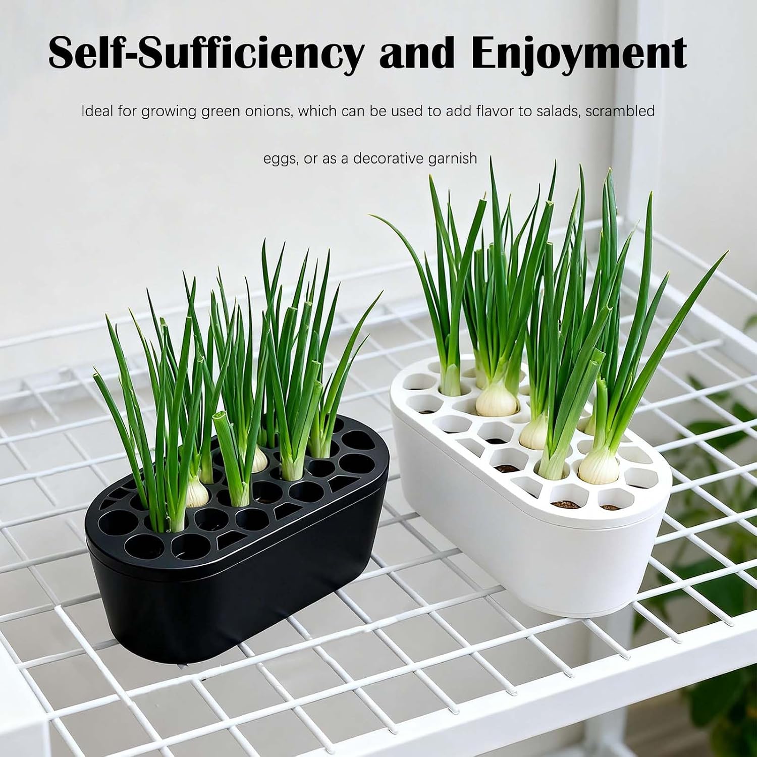 3D Printed Green Onion Planter Trays | Plant Propagation and Seedling Starter Trays for Indoor Gardening | Reusable Nursery Pots for Home, Office, Dorm (White)