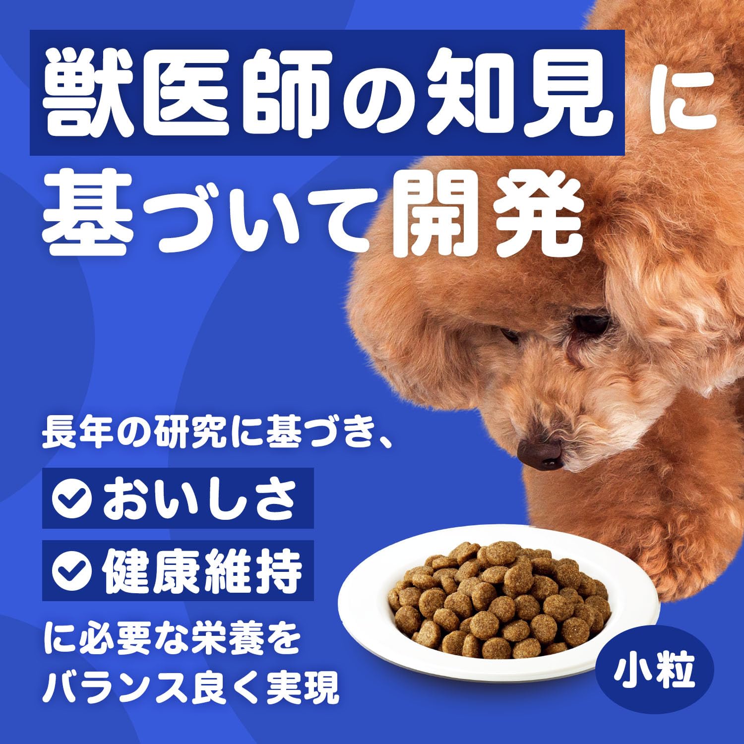 Amazon.co.jp: アイムス (IAMS) ドッグフード 11歳以上用 毎日の健康