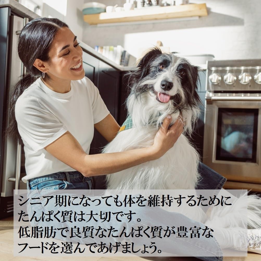 ウェルネスコア 高齢犬用 栄養成分表示