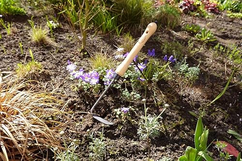 Miniatura 3 de DeWit Desbrozadora con mango de tamaño mediano, herramienta de jardín ligera y duradera con agarre cómodo