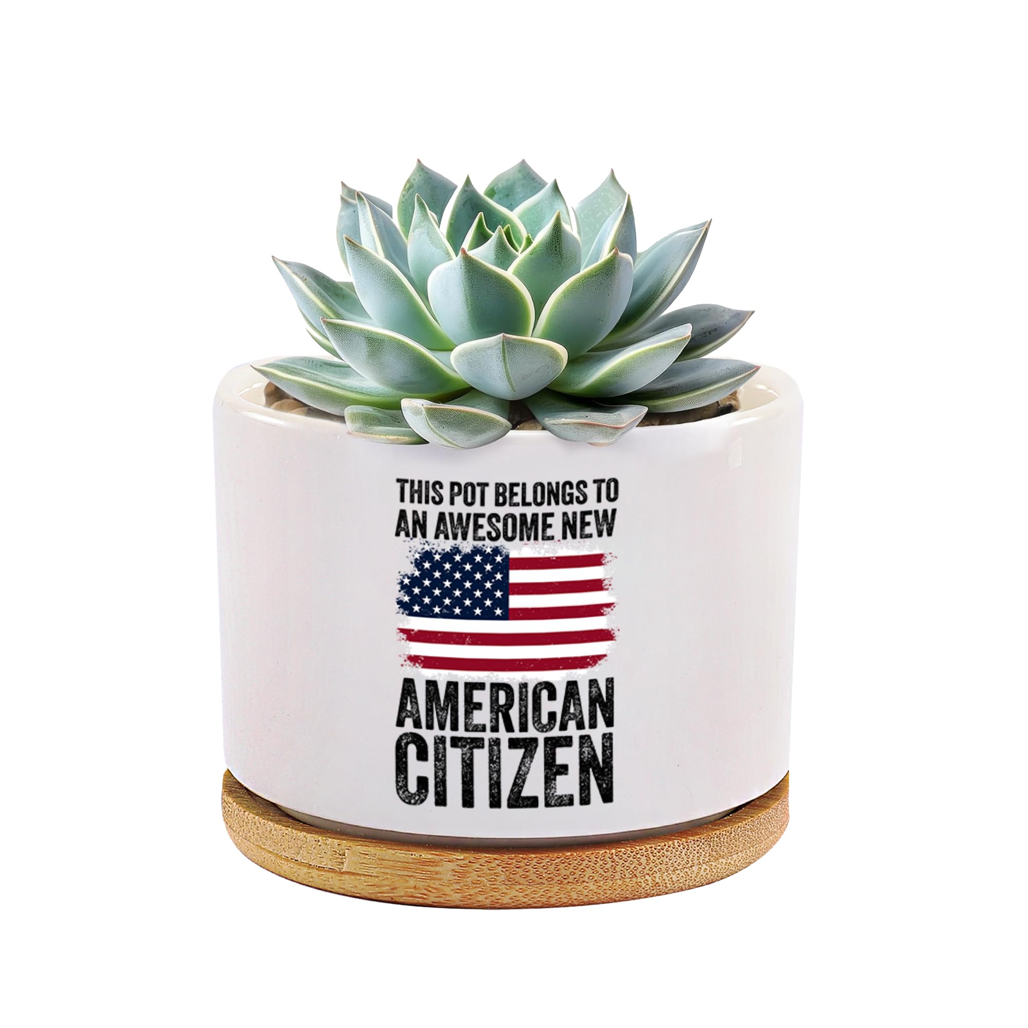 This Pot Belongs to an Awesome New American Citizen Ceramic Succulent Plant Pot with Bamboo Tray Round Citizenship Gifts American Flag Plant Lover Gifts Home Decor 3.5 Inch White (No Plants)