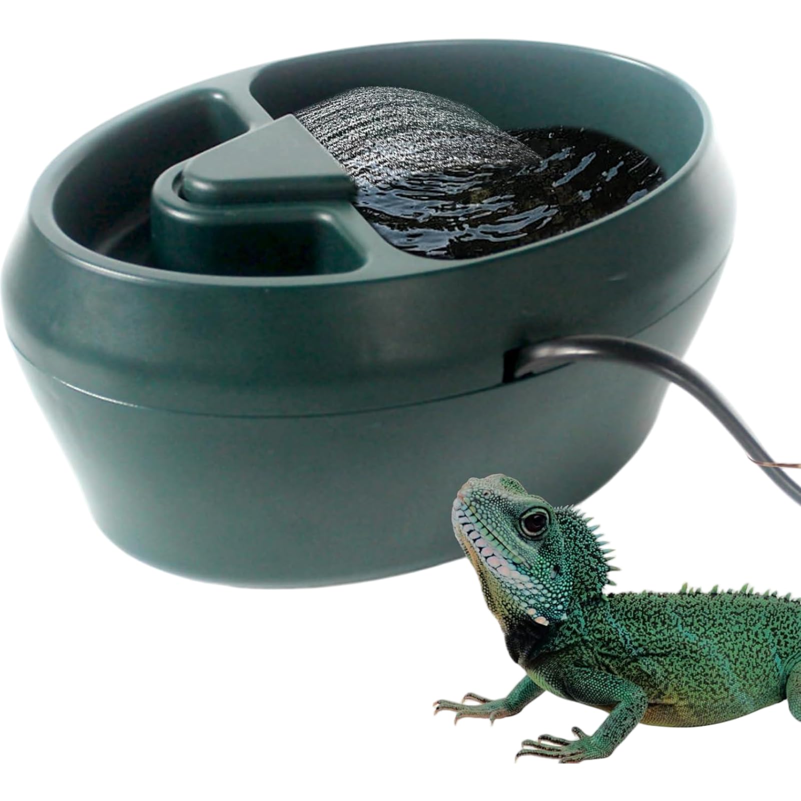 Amazon | 爬虫類カィスペンサー 自動給水器 水飲み場 両生類/昆虫