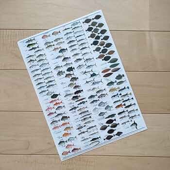 漁譜大図鑑 Fishing Café（フィッシングカフェ） VOL.70 - 木楽舎