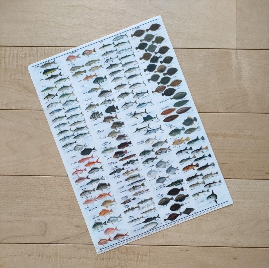 Amazon.co.jp: ニッスイA4クリアファイル日本水産魚譜 フィッシング魚