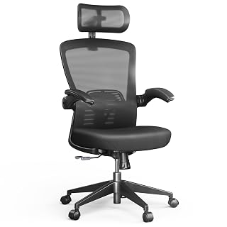 FLEXISPOT OC3 Pro Ergonomic Office Chair High Back Computer Chair with Flexible Flip-up Armrest/8-Level Lumbar Support, High Elastic Foam Seat Cushion, Chairs for Home Office Working Studying, Black - Amazon product rated Grade A
