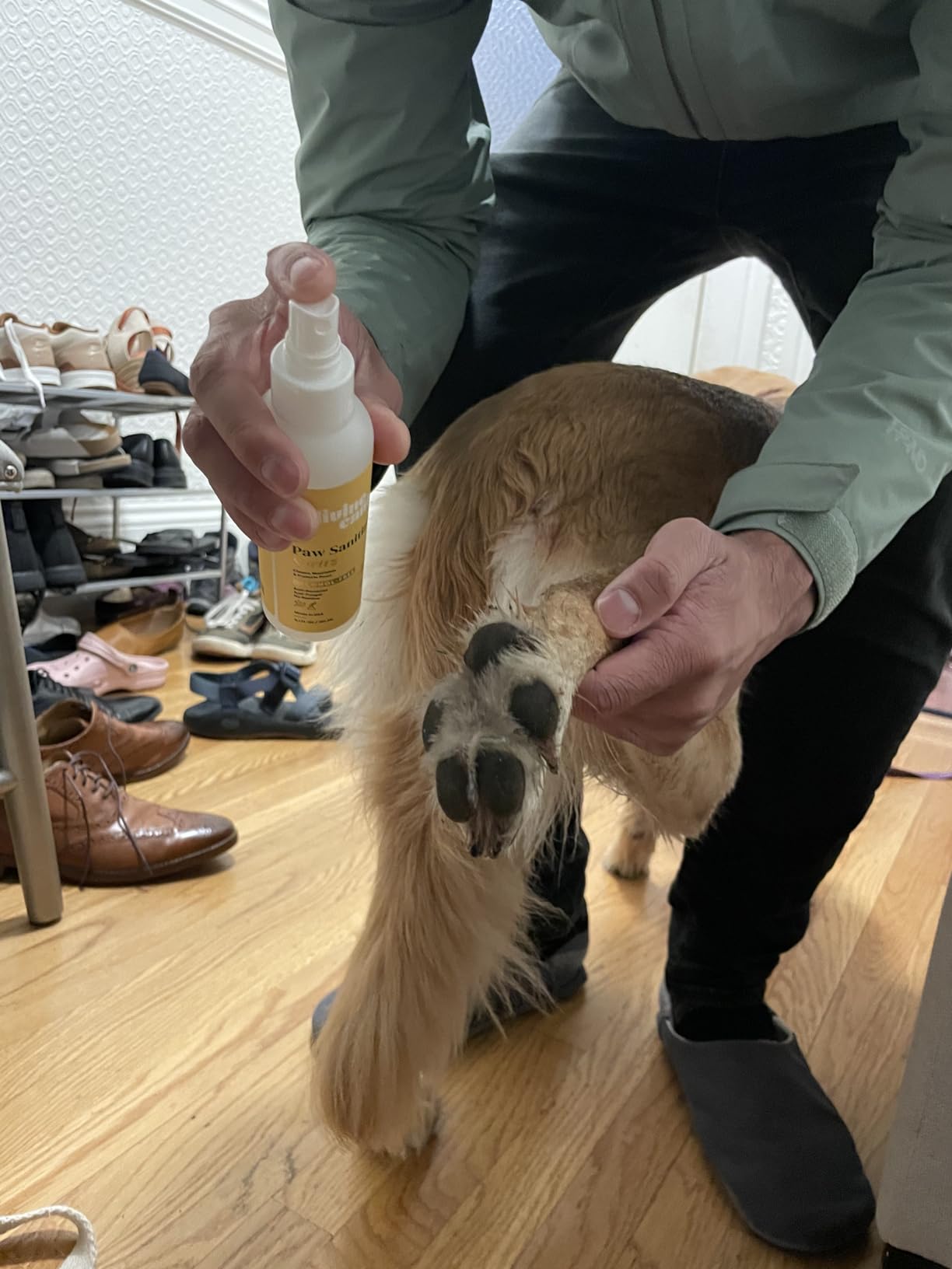 Divine Canine Paw Sanitizer Spritz Dog Paw Cleaner