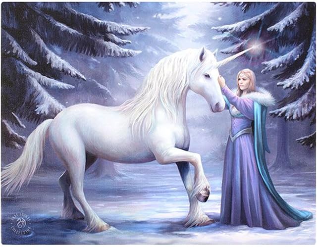 Spirit of Equinox AS_36926 Canvas Plaque | Pure Magic by Anne Stokes | H19 W25cm x D1.4cm | Pack of 1, multicolor