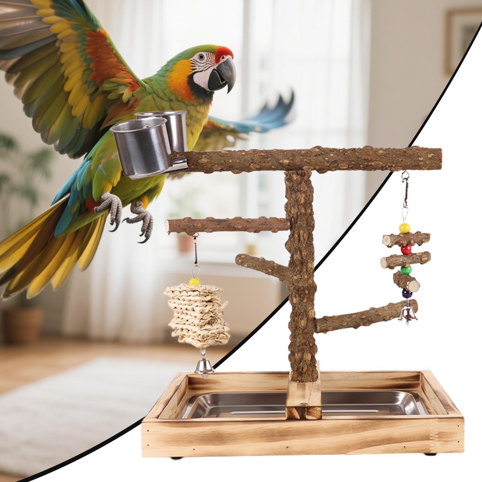 Área de Juego para Loros Con Bebederos | Juguetes De Madera Para Adiestrar Aves En Interior O Exterior