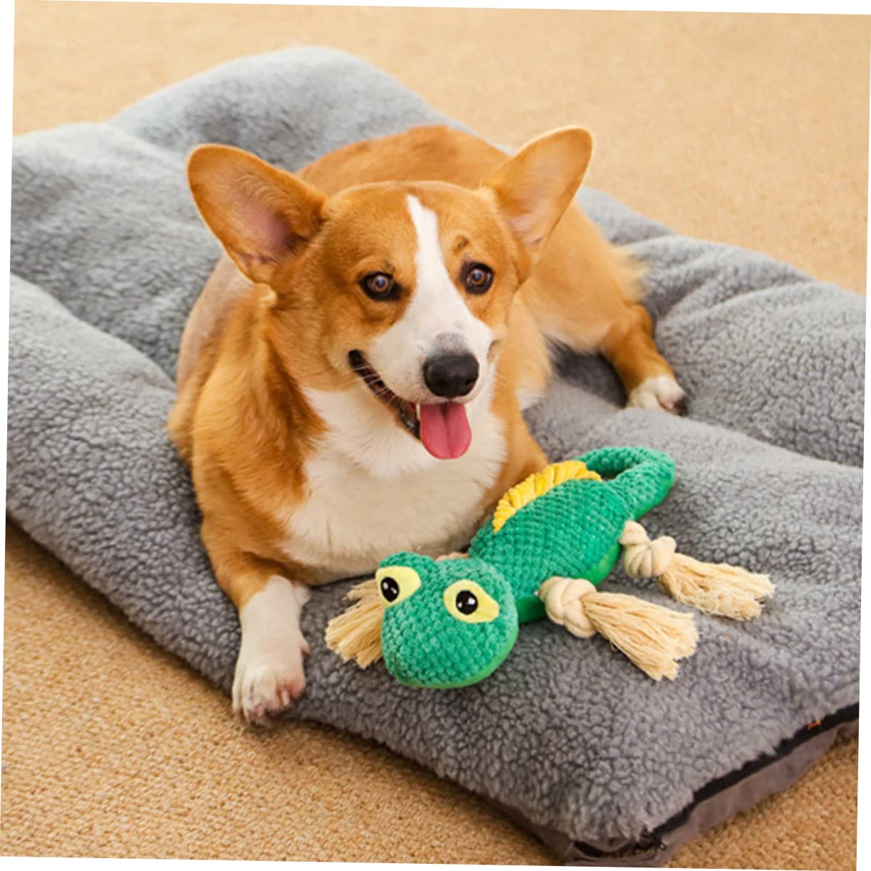 Toddmomy 2piezas Juguete De Molar Plush para Perros Juguete Interactivo para Cachorros Accesorio Divertido y Resistente para Masticar para Perros Pequeños y Medianos