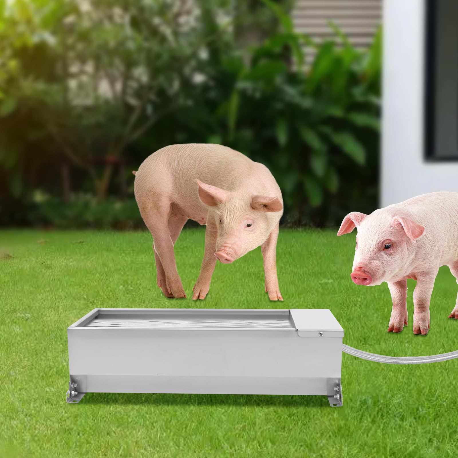 Depósito de agua automático de acero inoxidable para mascotas y ganado, recarga automática, aprox. 7,5 l, acero inoxidable para cerdos, ganado, caballos, estable y fácil de limpiar