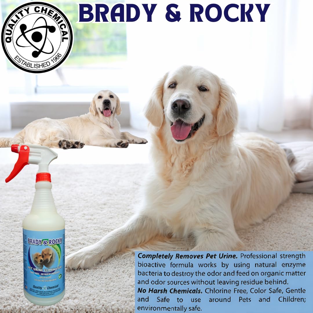 Quality Chemcal Brady and Rocky's Pet Urine Eliminator - Powerful Pet Urine Enzyme Cleaner for Urine Stains and Odors - Unchained Urine Stain and Odor Remover - Cat Odor/Dog Odor 32 oz (Pack of 1)