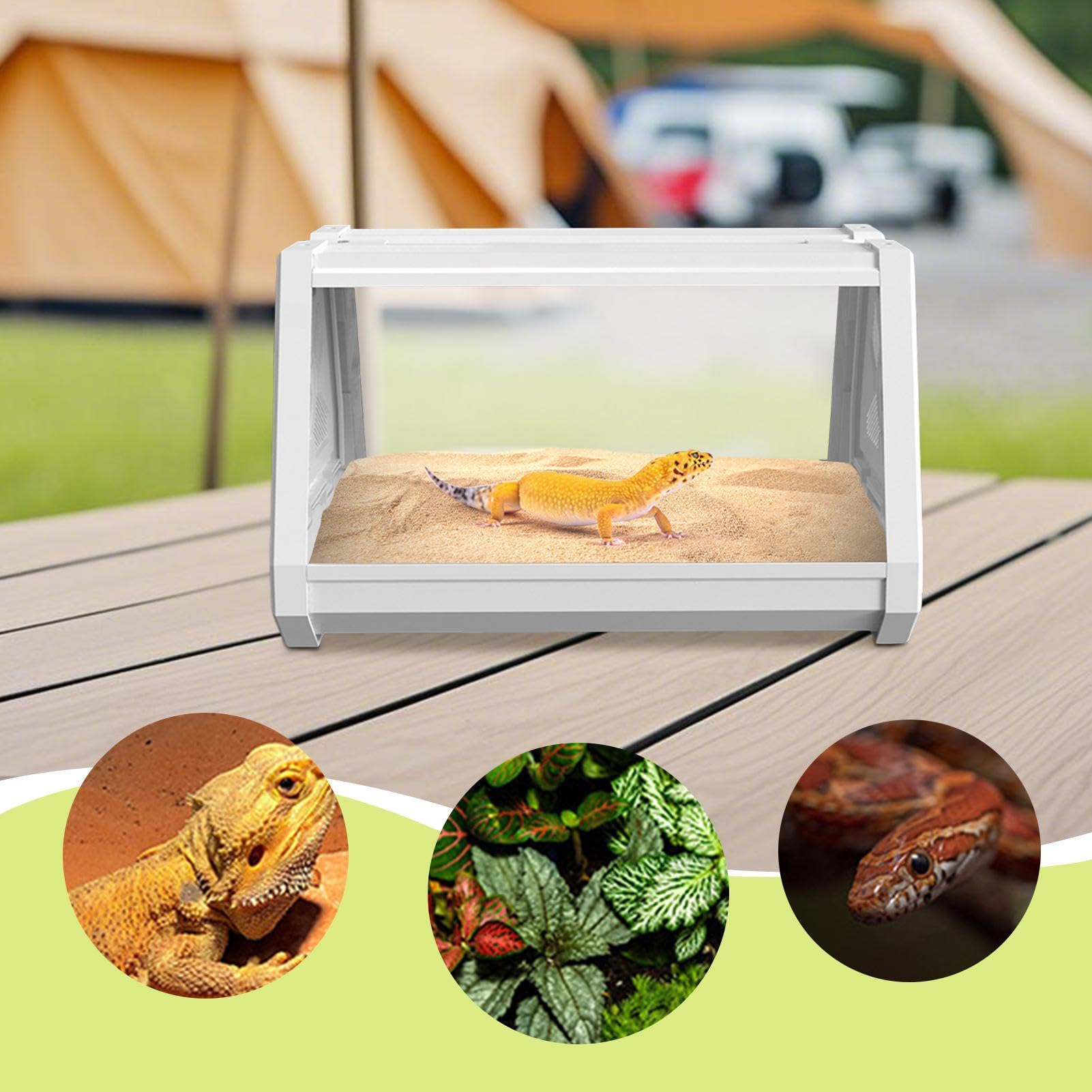 Zbiornik gadów, terrarium dla gadów Wielofunkcyjny zbiornik Terrarium dla | Rozszerza pole widzenia, trapezoidalny design, siedlisko gadów dla kraba pustelnika, węże, rogate żaby