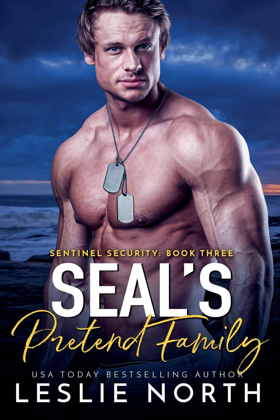 SEAL's Pretend Family: 3 (Sentinel Security)