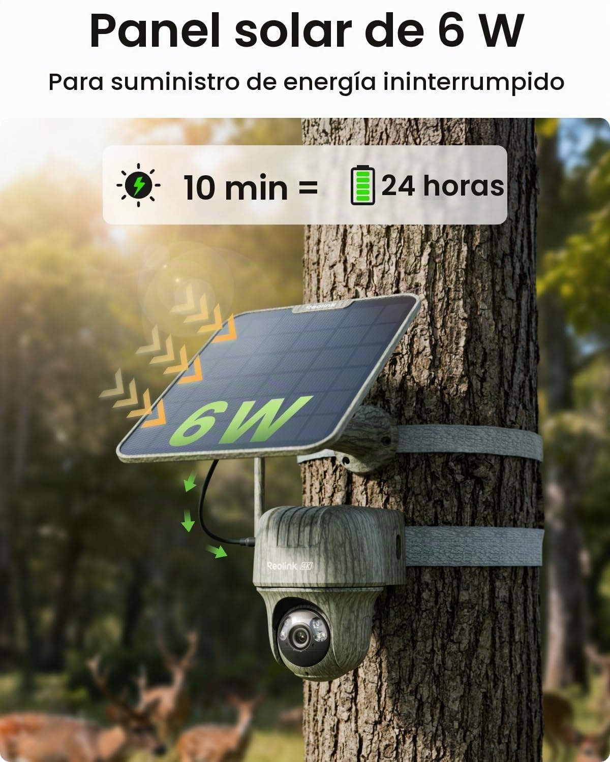 Reolink 4K 3G/4G Camara Vigilancia Exterior con Tarjeta SIM, Visión Nocturna, Detección de AI, Batería Recargable, Go Ranger PT + 6W Panel Solar + Candado de Cable para cámara de Sendero