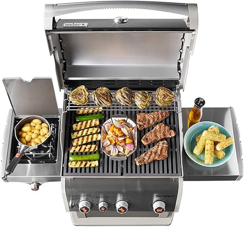 Spirit E330 46810001 de Weber