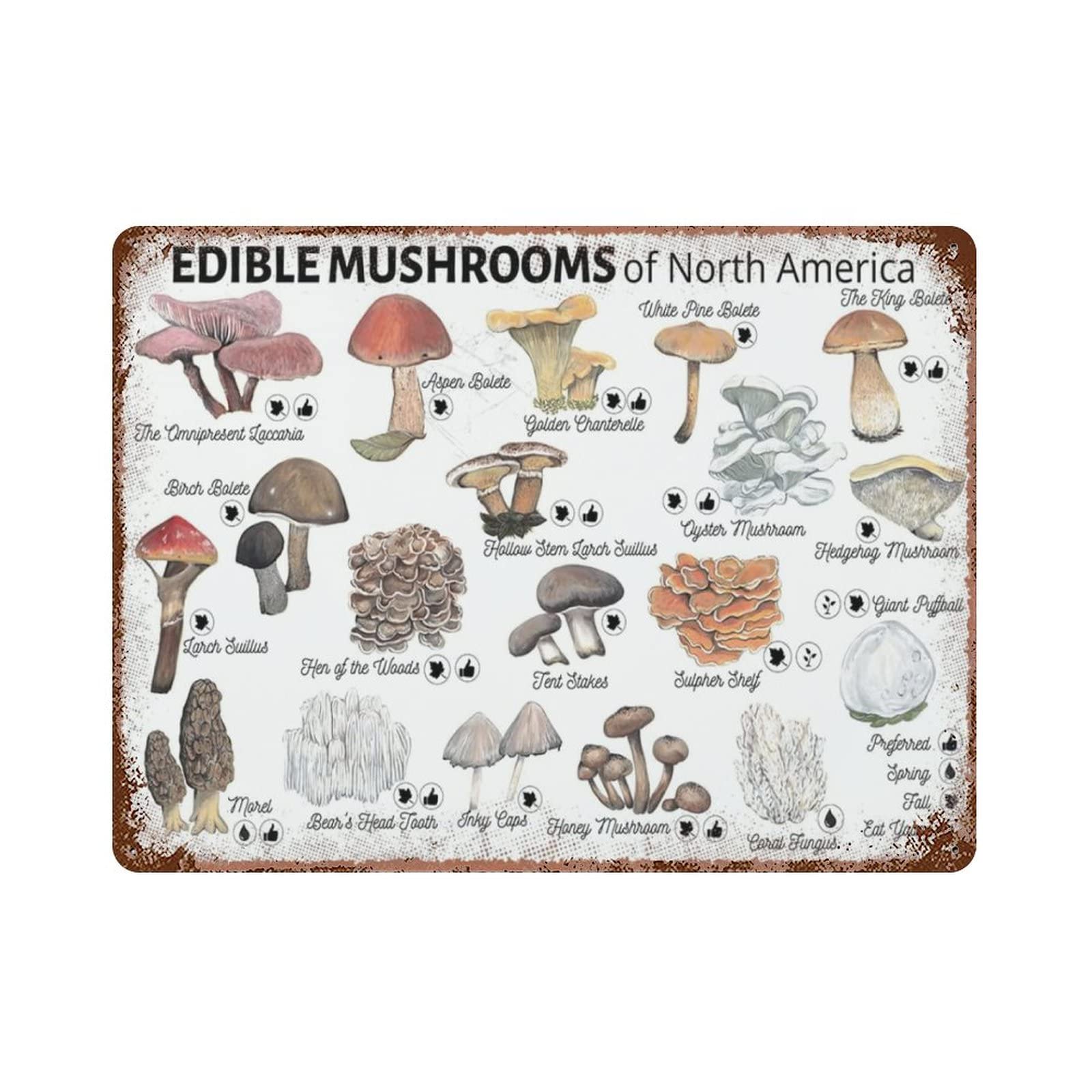AOOEDM Edible Mushroom Guide Vintage Tin Sign Metal Tin Signs for Man Cave Funny Art Wall Plaque Kitchen Bar Pub Coffee Shop Wall Decor