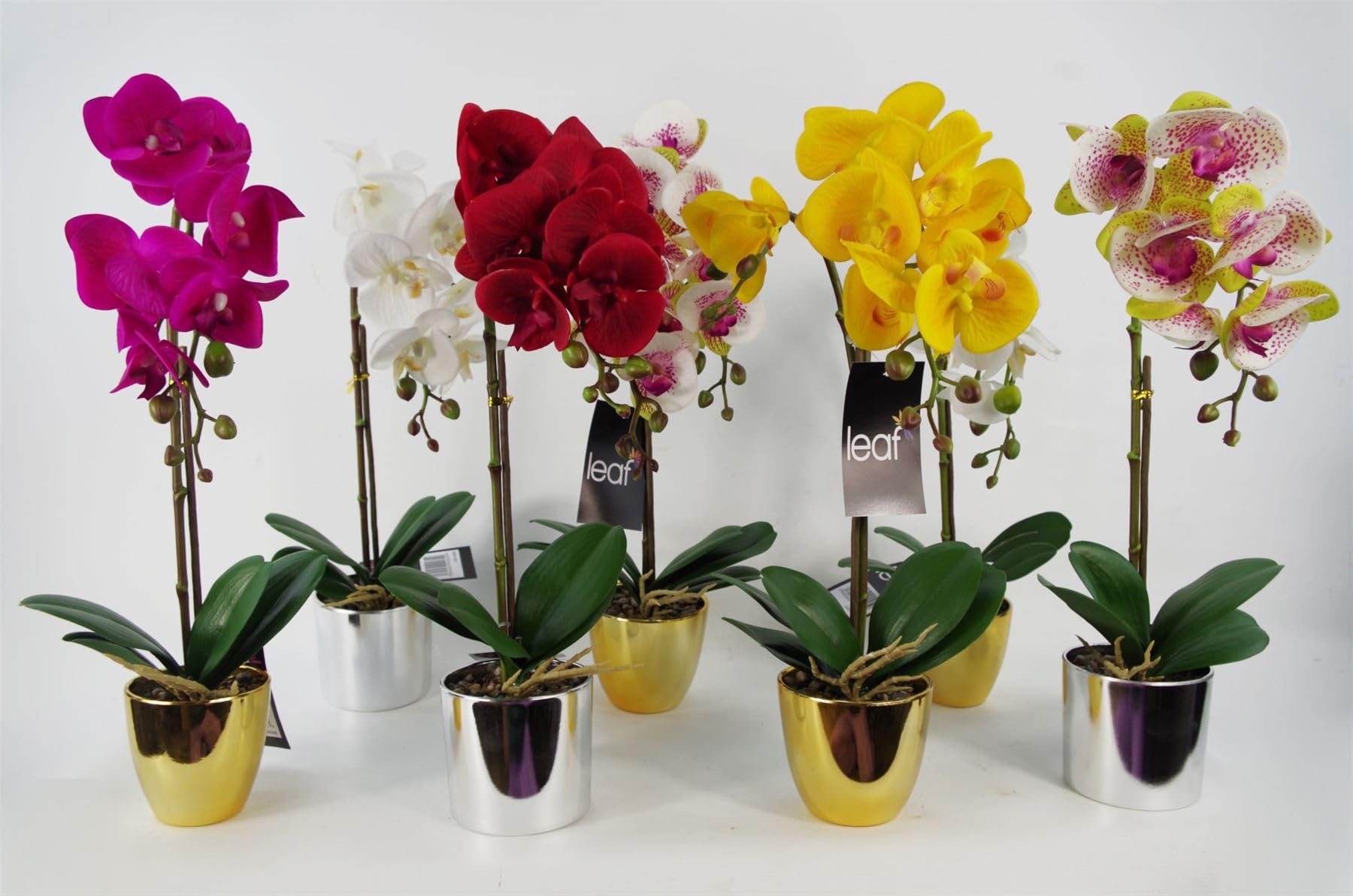 Leaf Design UK - Orquídea Artificial Realista en Maceta
