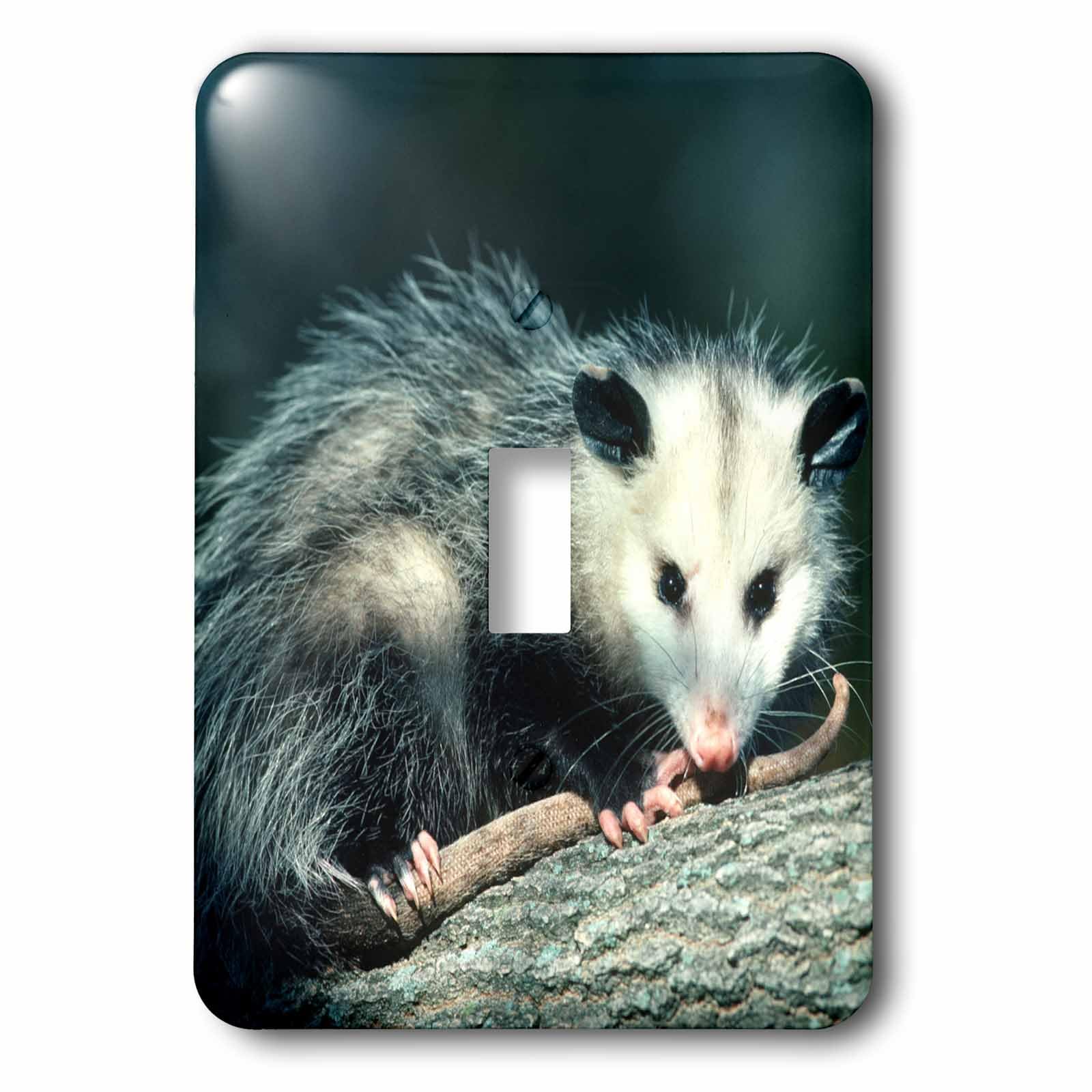 Interrupteur simple Virginia Opossum 3dRose lsp_251008_1 interrupteur à bascule faune