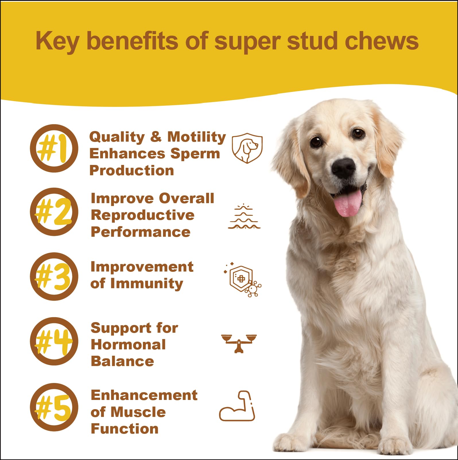 Reproductive Health Supplement for Dogs - Fertility & Breeding Support Soft Chews with L-Carnitine, Zinc, Ginseng & Vitamins - Boosts Reproductive Cells, Testosterone & Vitality - 120 Count — Amazon image 5