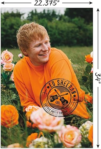 Miniatura 3 de Trends International Ed Sheeran - Póster de pared de campo de rosas, 22.37 x 34.00 pulgadas, versión sin marco