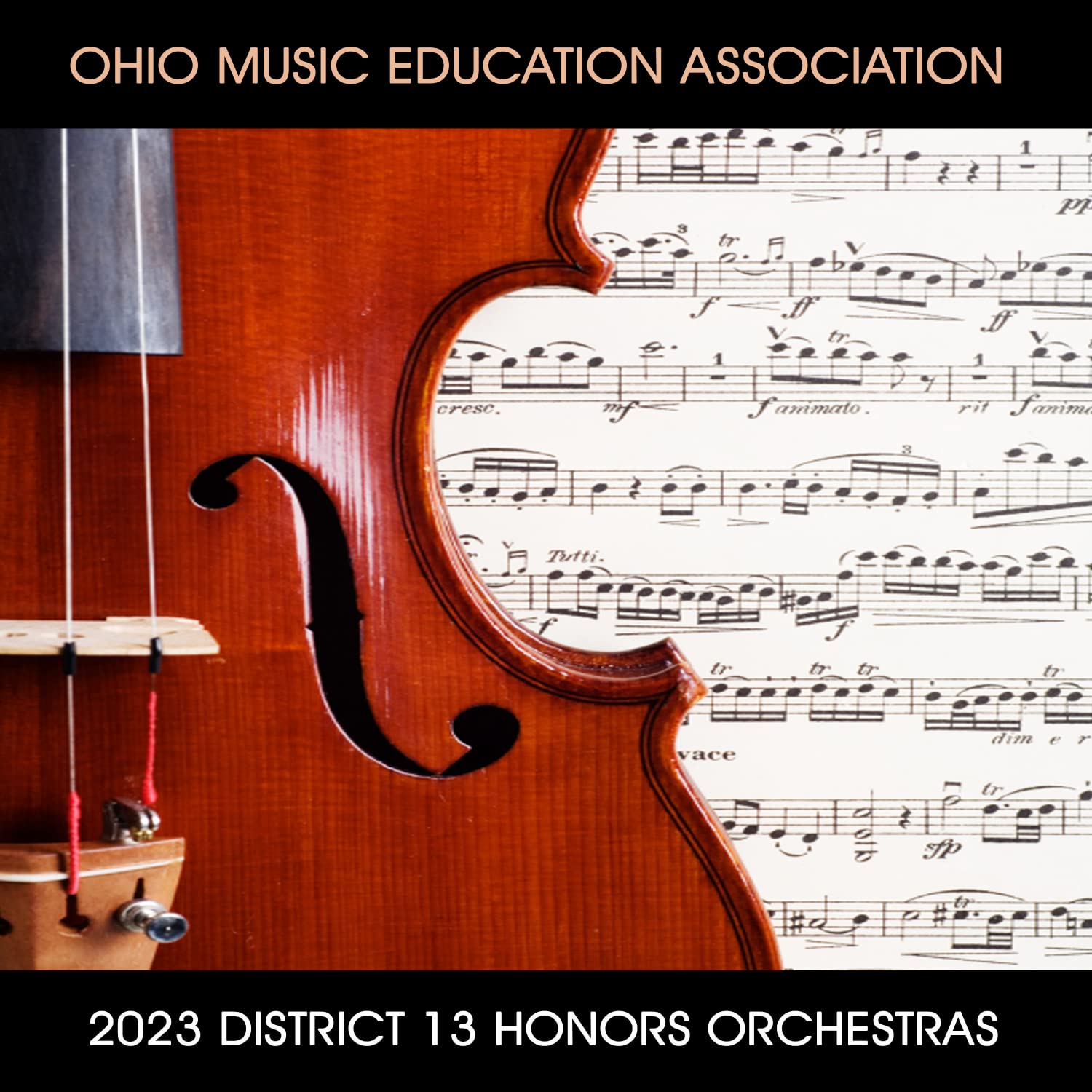 Ohio Music Education Association District 13 Encore Honor Orchestra