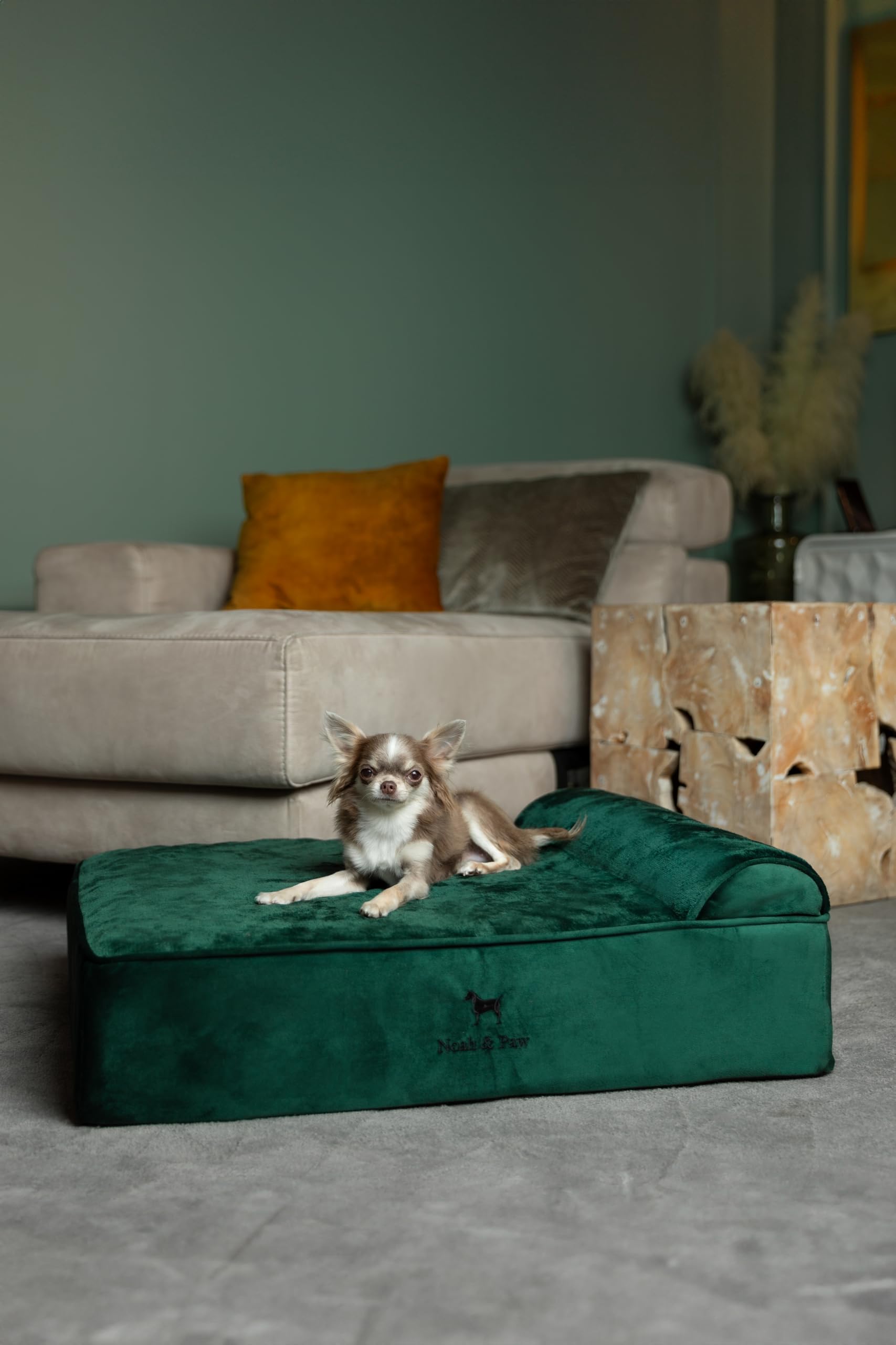 NOAH & PAW Dog Bed, 28x23x7.5 Inch, Orthopedic Dog Beds for Medium Size Pets, Eggshell Memory Foam Infused with Cooling Gel, Waterproof, Machine Washable, Includes Inner Cover (Velvet Collection) - image 3