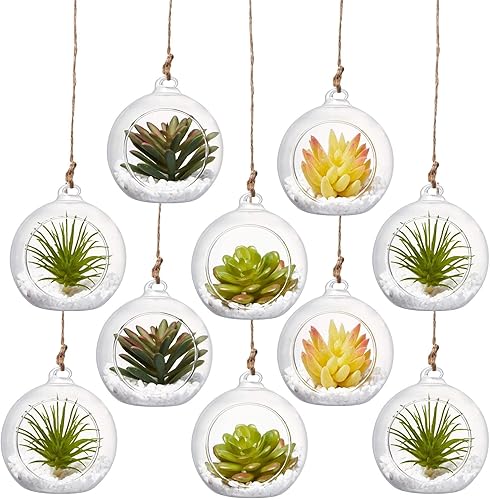 Miniatura 5 de BlogBlog Portavelas de vidrio colgante, soporte para velas de té de vidrio globo, jarrón de vidrio colgante, terrario de plantas de flores,