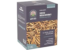 WN59 Premium Dried Mealworms for Bluebirds
