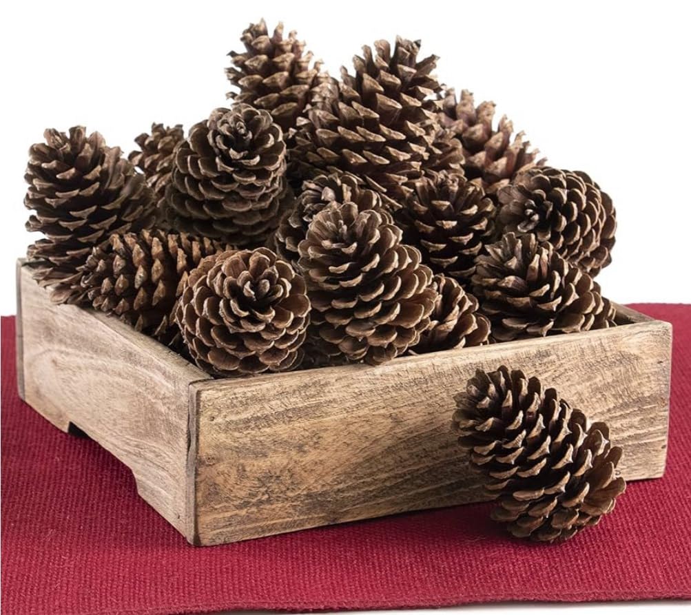 15-23 Pine Cones 2-8"inches, Large Bulk Natural Pine Cones, Bug Free for Christmas Decor, Ornaments, Potpourri, Weddings, Wreaths, Craft Projects.
